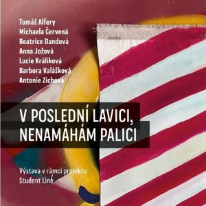 cerna_labut_v_posledni_lavici.jpg