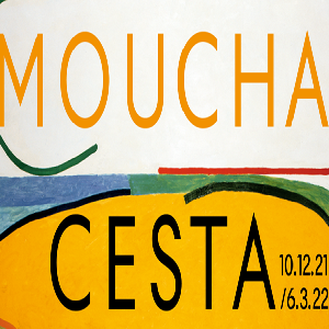 moucha.png