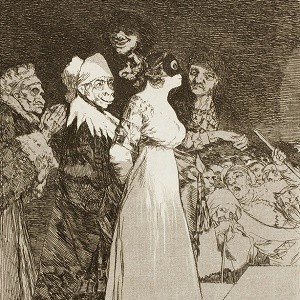 02_goya_b300.jpg