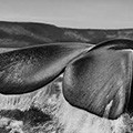 Sebastião Salgado - Genesis