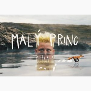 okoopava-malyprinc.jpg