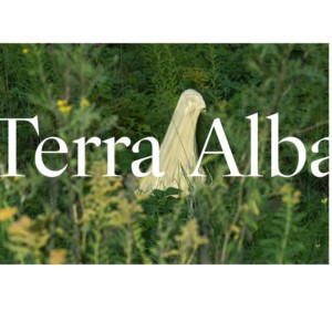 terraalba-brno.jpg