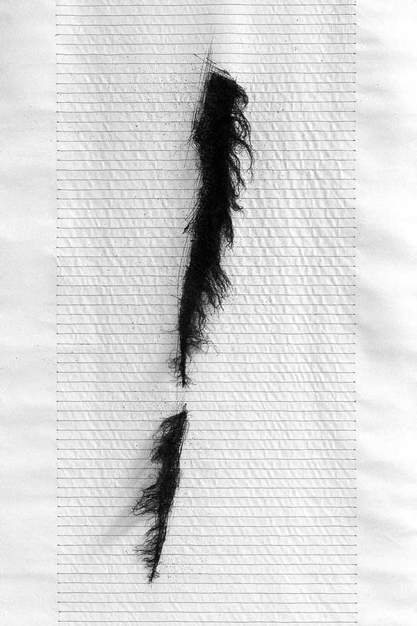 Nepostizitelne hry XIX 1987