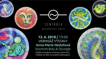 neduhova centrala ceskegalerie